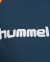 Hummel Hummel TEAM PLAYER Träningsjacka Blått. Traning håller hög kvalitet.